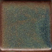 Andromeda Coyote Constellations #176