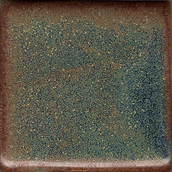 Andromeda Coyote Constellations #176