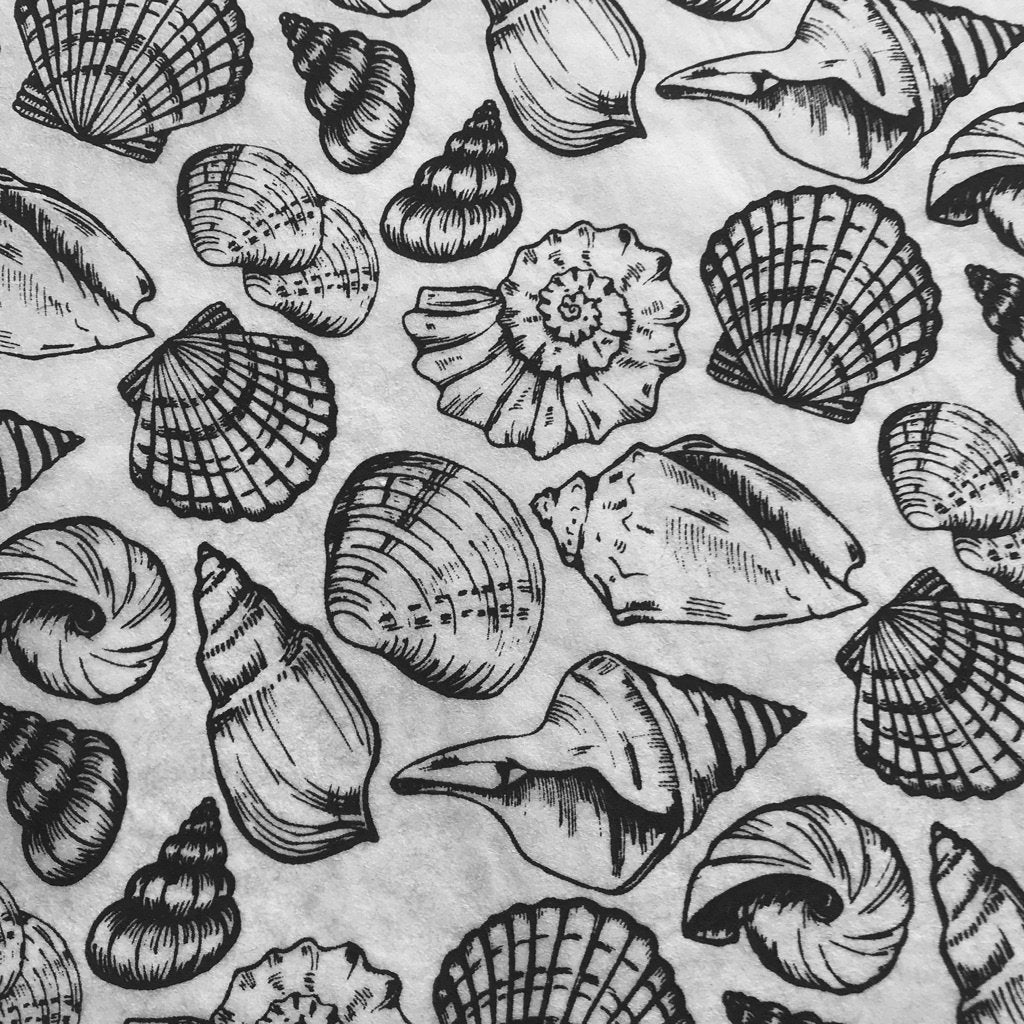 Shells Multi Underglaze Transfer