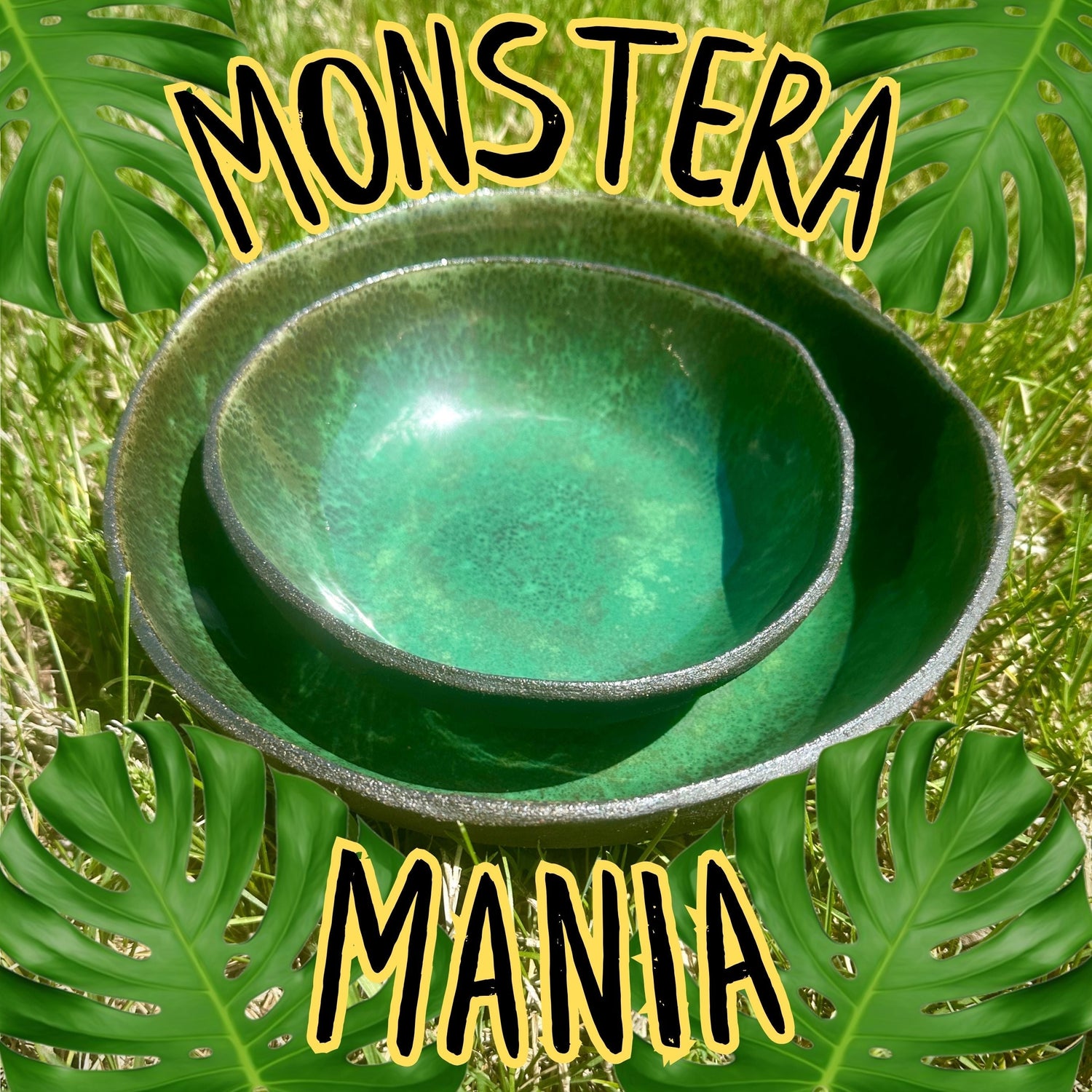 MONSTERA MANIA: Check Out This Laguna Glaze!