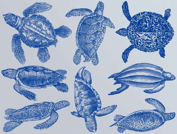 Creature Decals