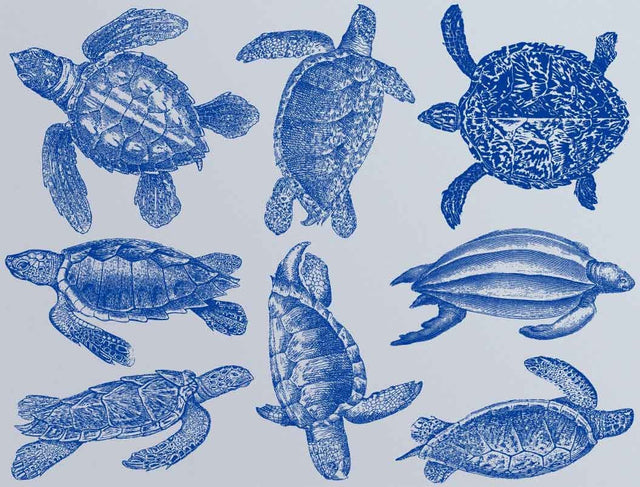 Creature Decals