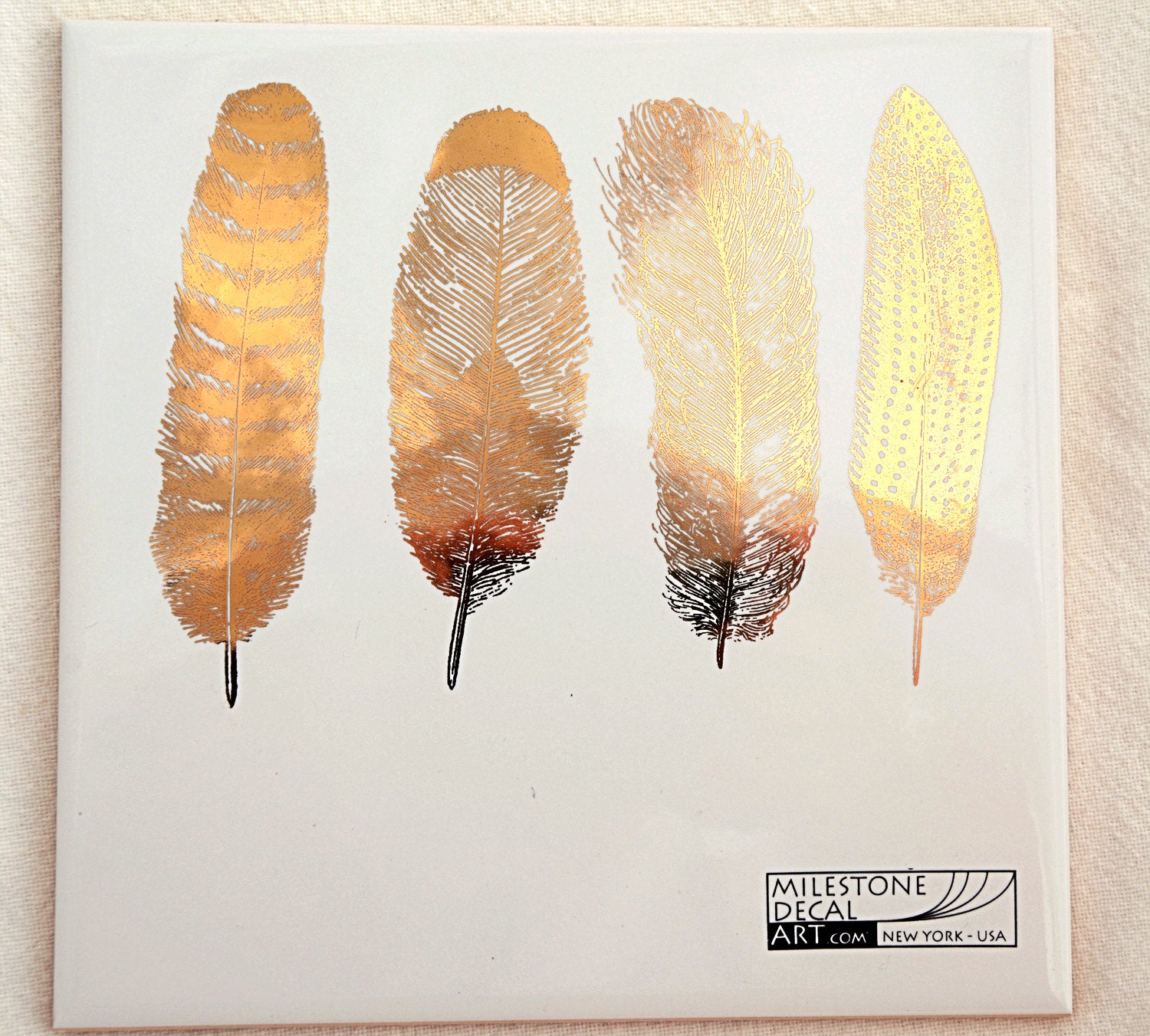 Feathers