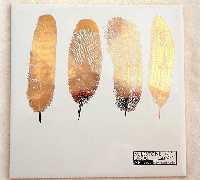Feathers