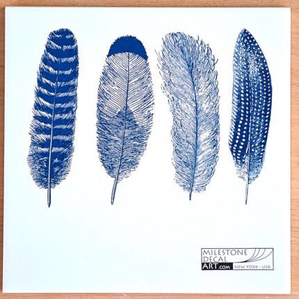 Feathers