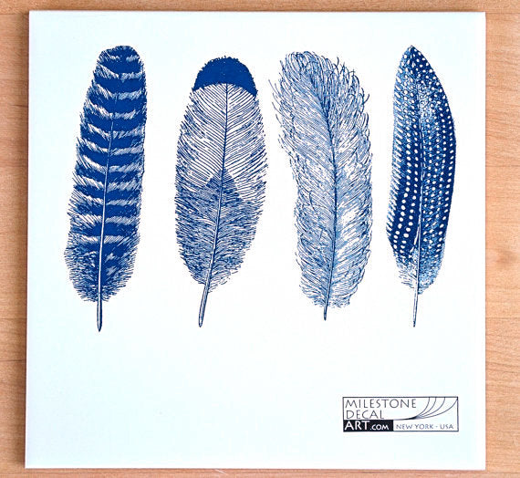 Feathers