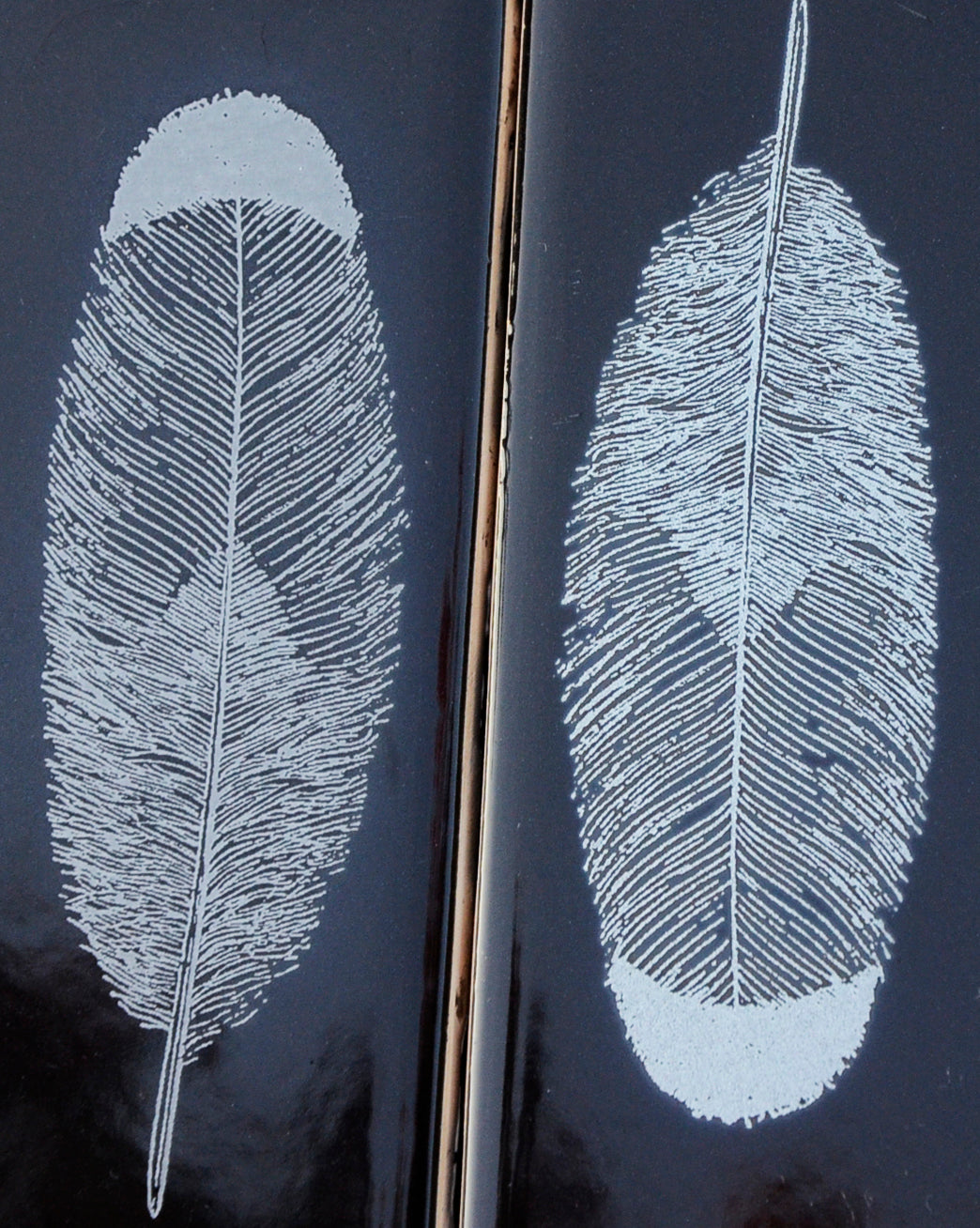 Feathers