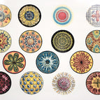 Diatoms