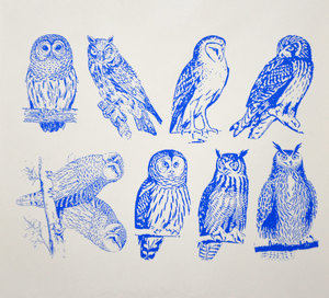 Owls