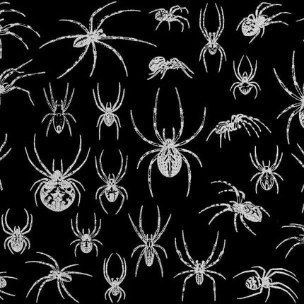 Spiders