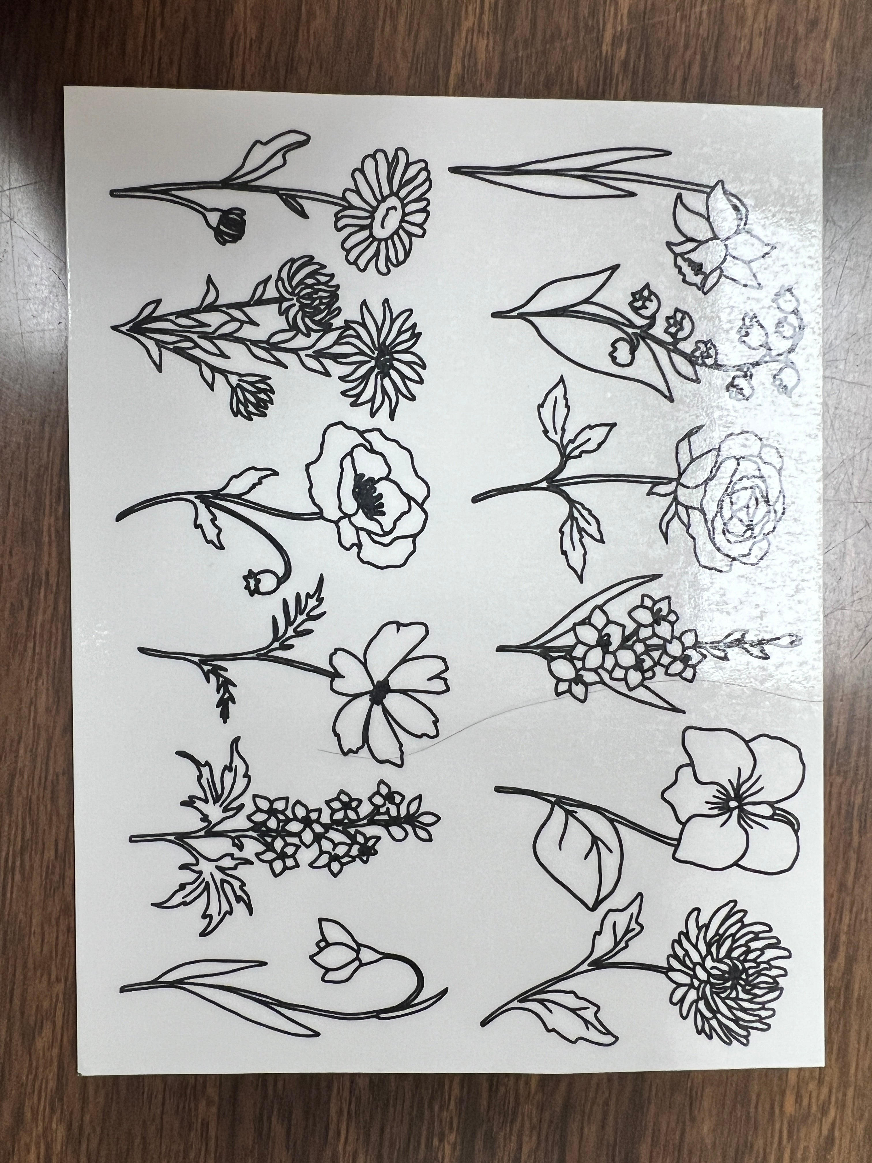 Garden Flowers