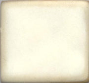 Creamy Matt Coyote Matt #029