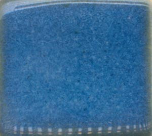 Coyote Sample Set #3 - Bestsellers