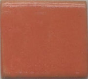 Pumpkin Coyote Gloss #051
