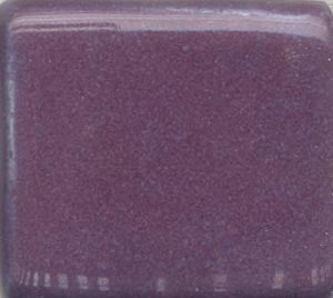 Pansy Purple Coyote Gloss #053