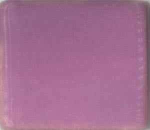 Violet Coyote Gloss #054