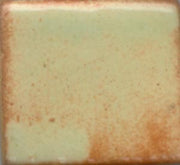 Light Green Shino Coyote Shino #068