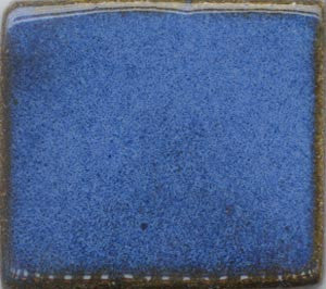Mottled Blue Coyote Mottled #016