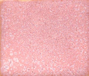 Sunset Pink Coyote Mottled #021
