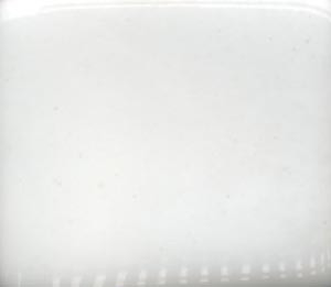 White Coyote Gloss #023