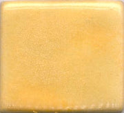 Yellow Orange Coyote Gloss #025