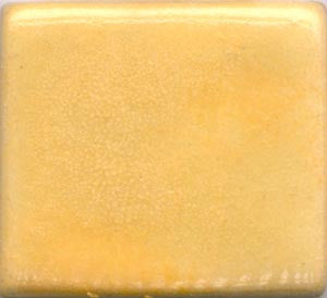 Yellow Orange Coyote Gloss #025