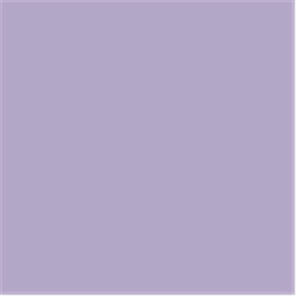 6319 Lavender