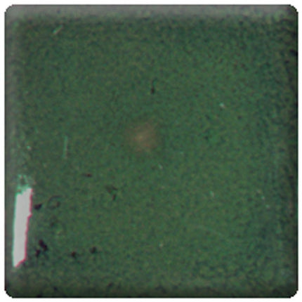 1111 Holly Green (CL)
