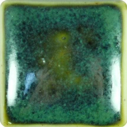 1146 Texture Swampy (CL)