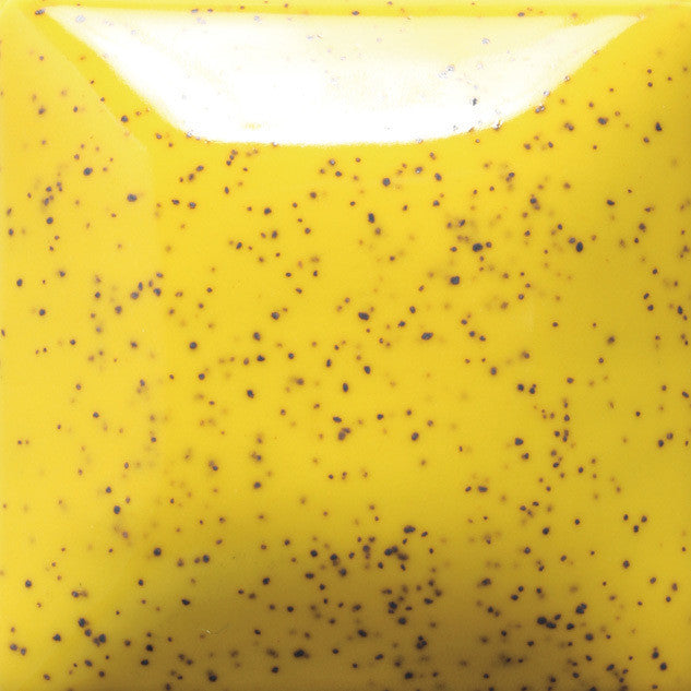 Speckles & Sparkles