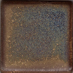 Aquilla Coyote Constellations #177