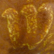Golden Brown