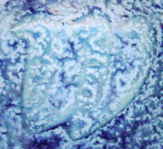 Silver Blue
