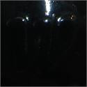 Black Gloss