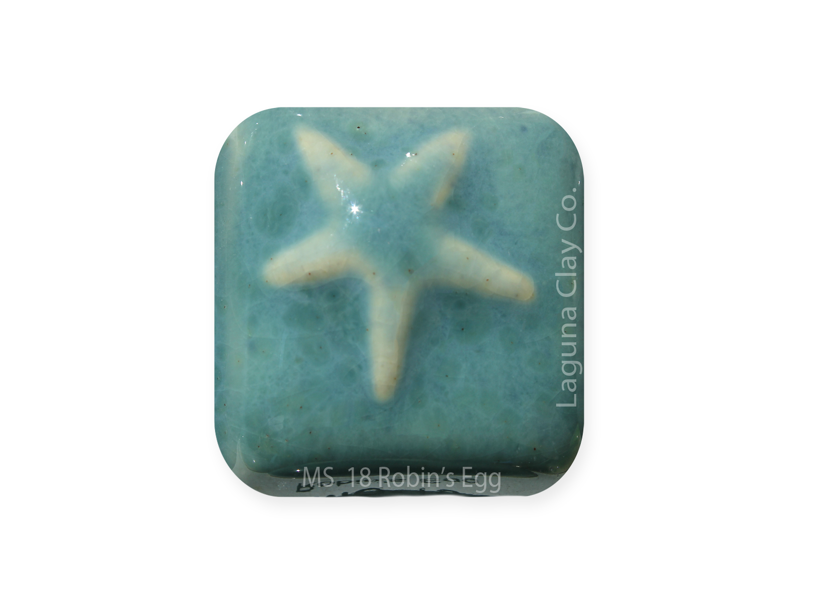 MS-18 ROBINS EGG  Moroccan Fusion Glaze