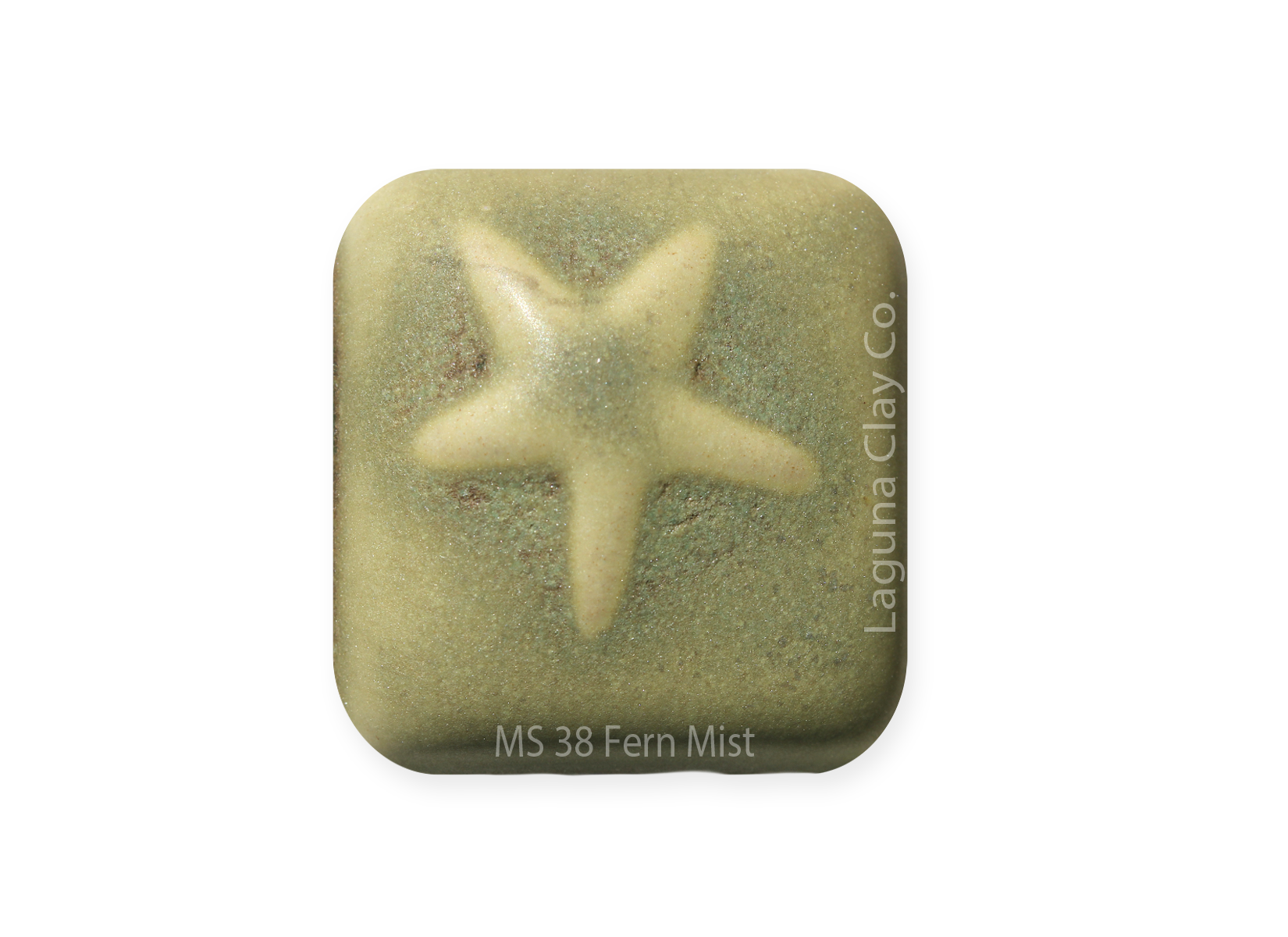 MS-38 FERN MIST GLAZE