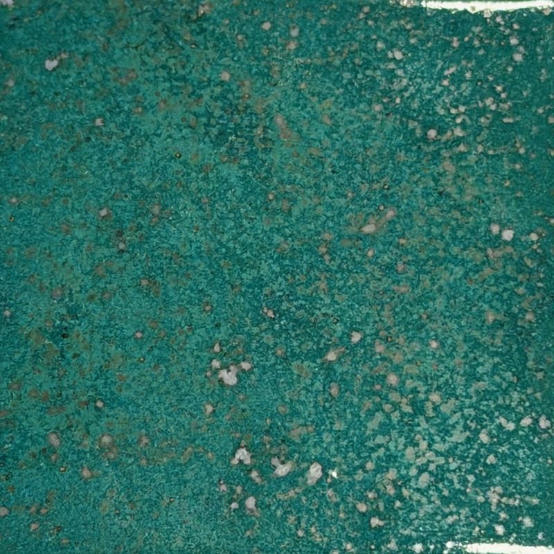 Basilisk Hide Coyote Fantasy #229