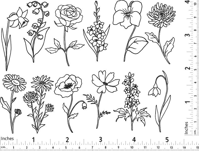 Garden Flowers
