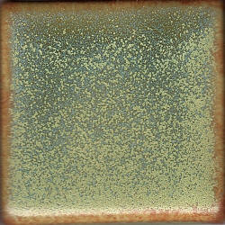 Aries Coyote Constellations #179