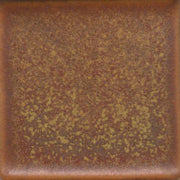Autumn Spice Coyote Constellations #170