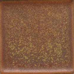 Autumn Spice Coyote Constellations #170