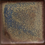 Orion Coyote Constellations #174