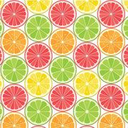 Citrus Slices Underglaze Transfer