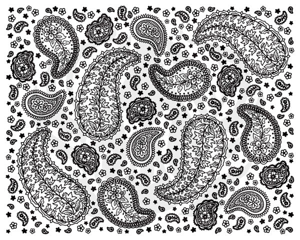 Paisley Silkscreen