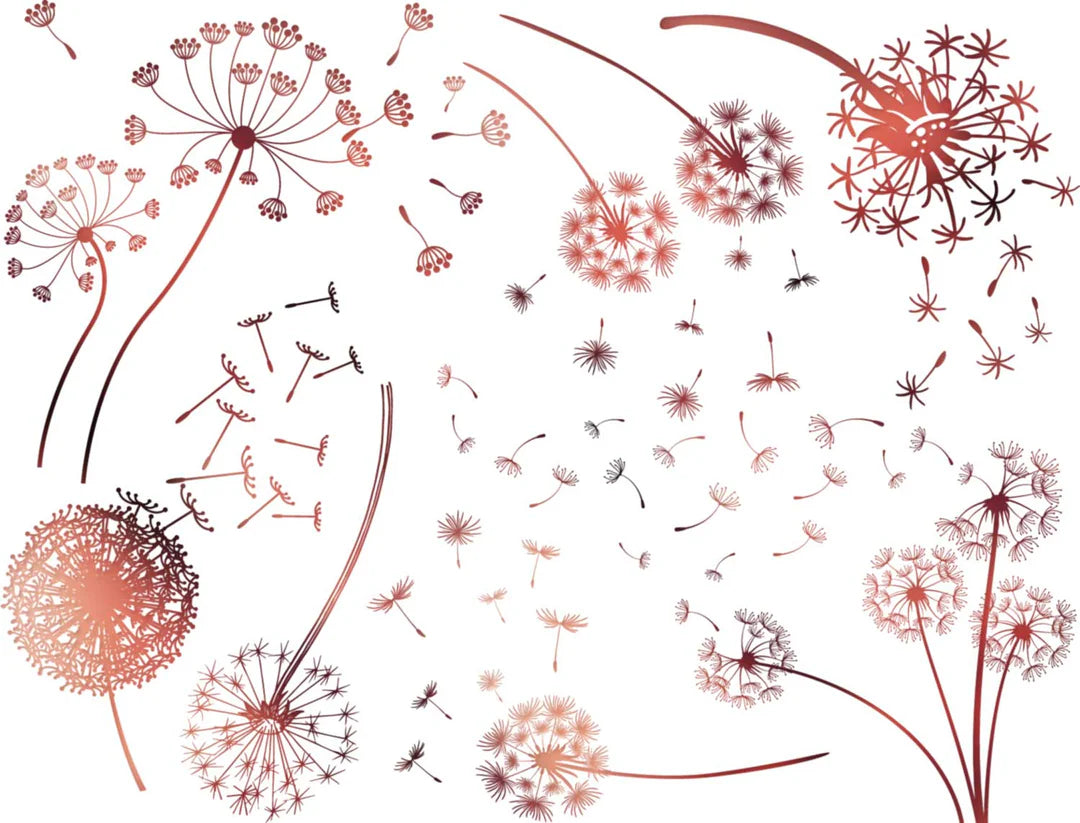 Dandelions