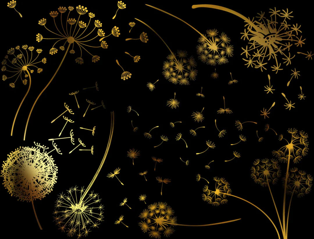 Dandelions