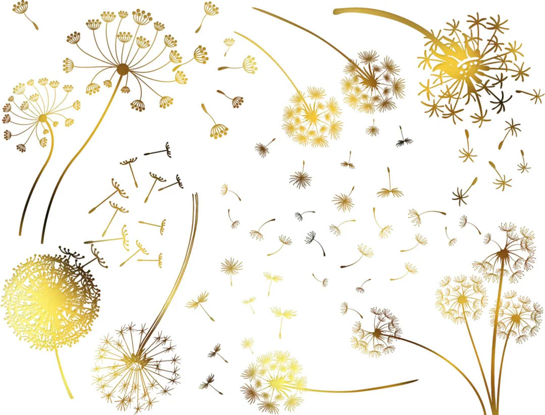 Dandelions