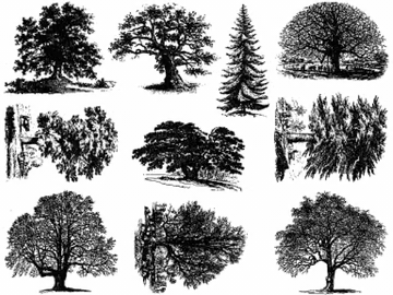 Trees Decal