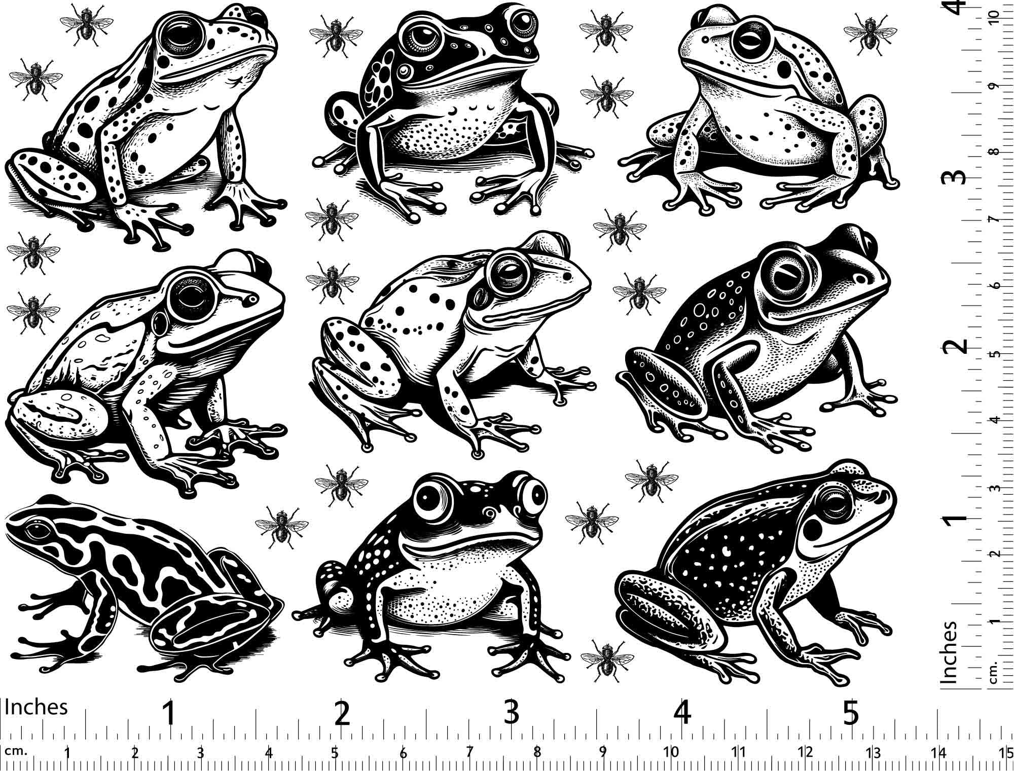Frogs & Flies Decal