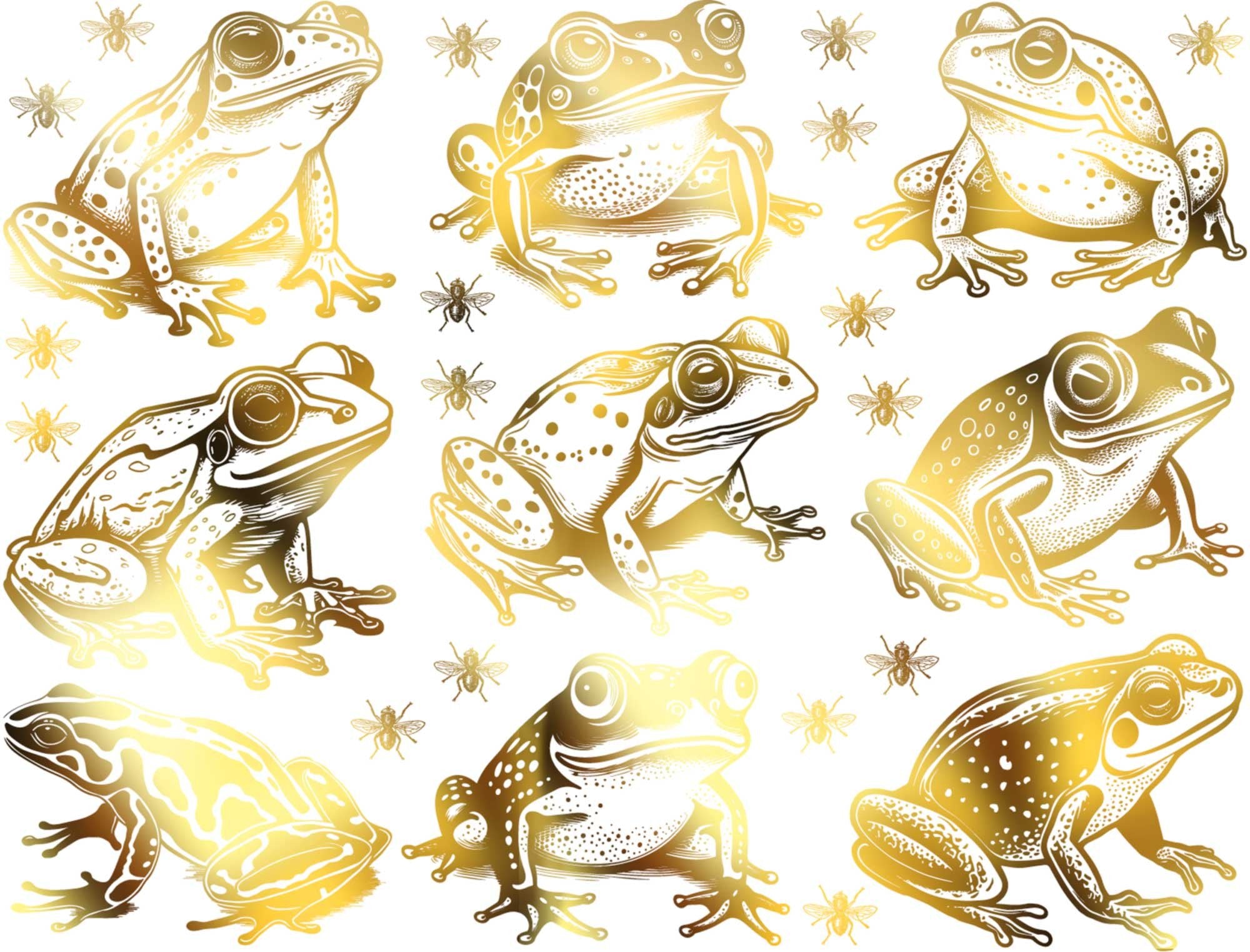 Frogs & Flies Decal